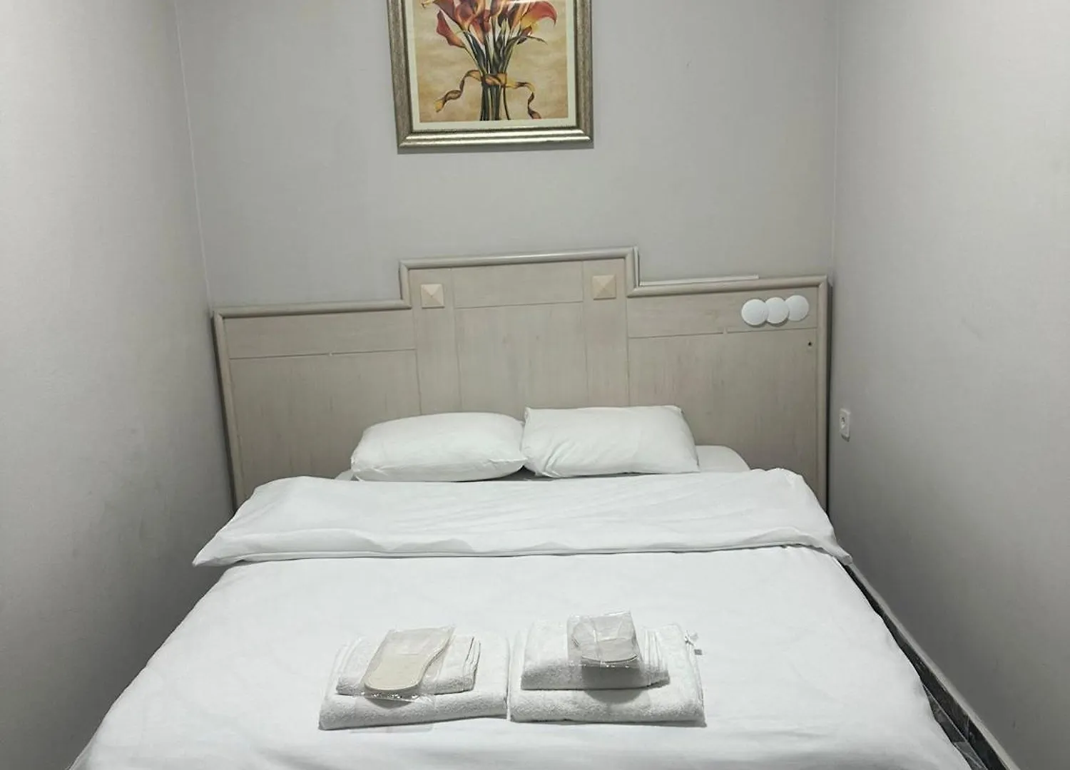 Zerya Suites Istambul 0*,